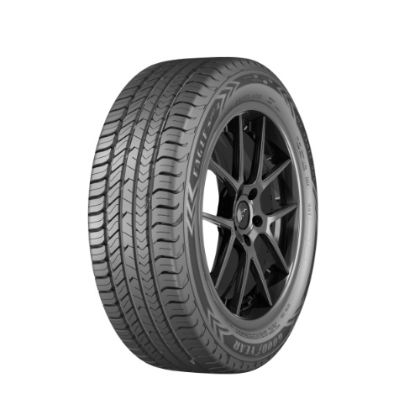 Pneu 225X45 R17 94W GOODYEAR 142517
